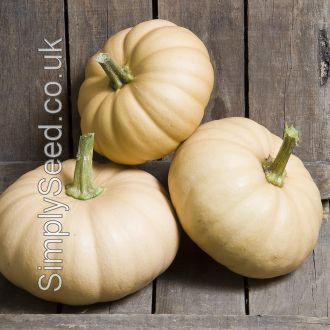 Winter Squash Autumn Crown